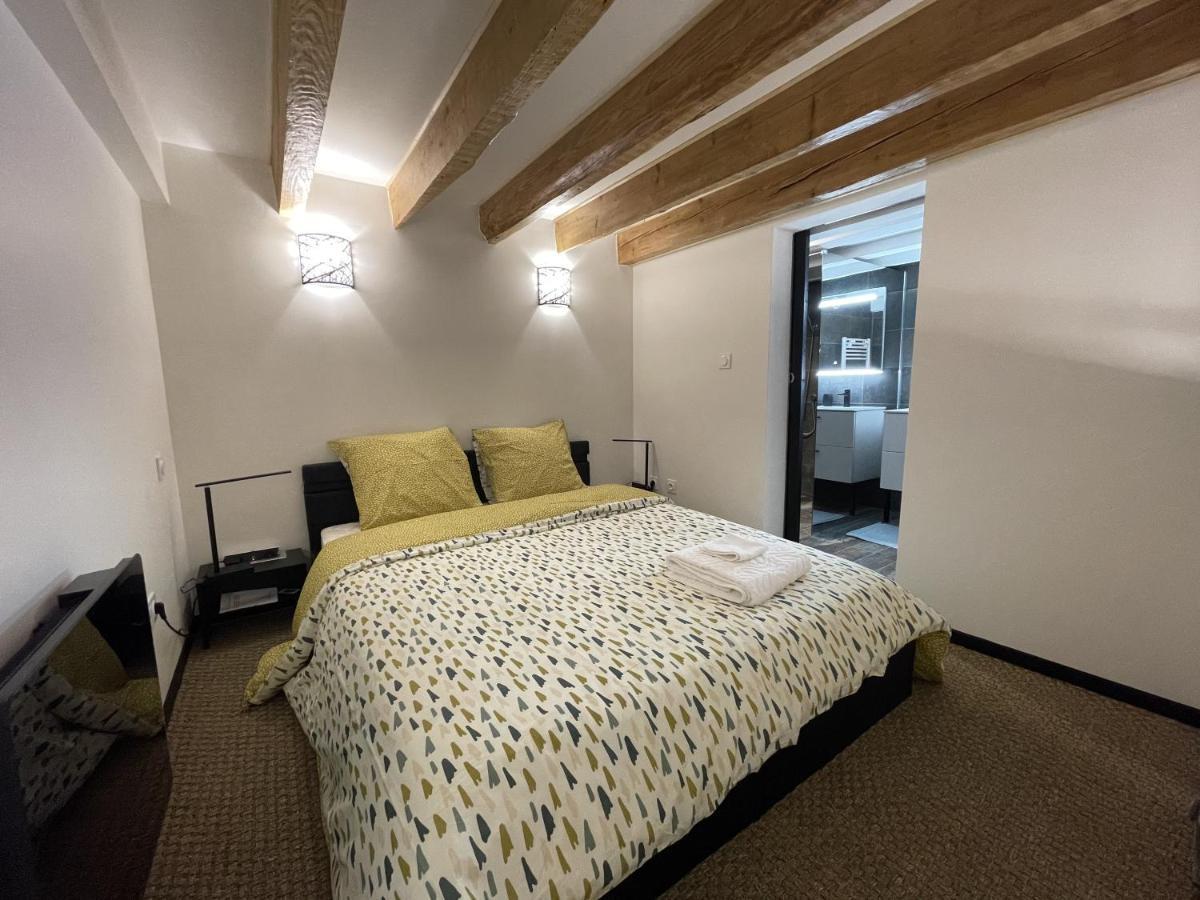 Appartement Les Lices du Vigan à Albi Extérieur photo